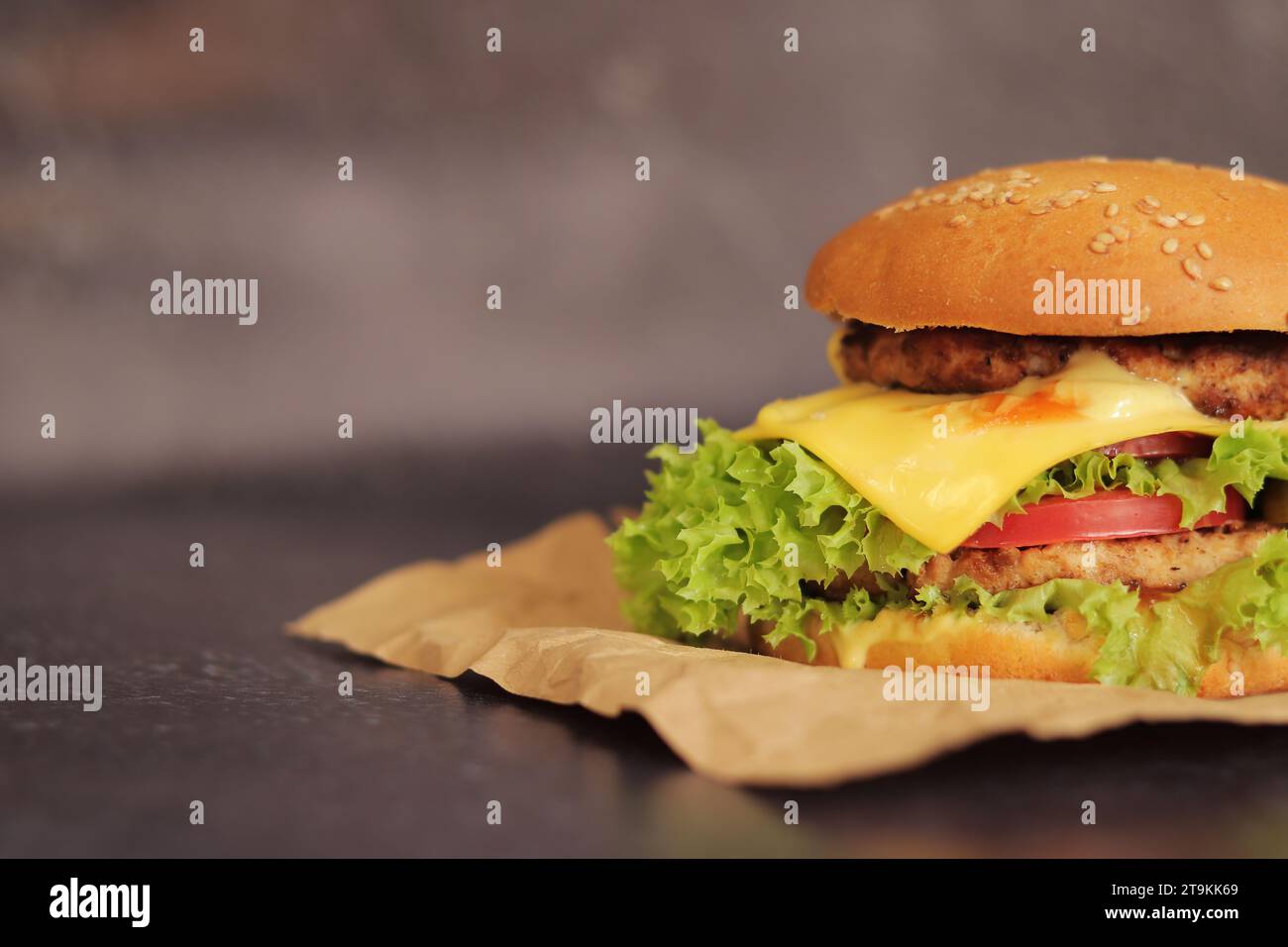 Doppio cheeseburger su sfondo grigio. Gustosi hamburger su carta artigianale, vista laterale. Fast food. Copia spazio Foto Stock