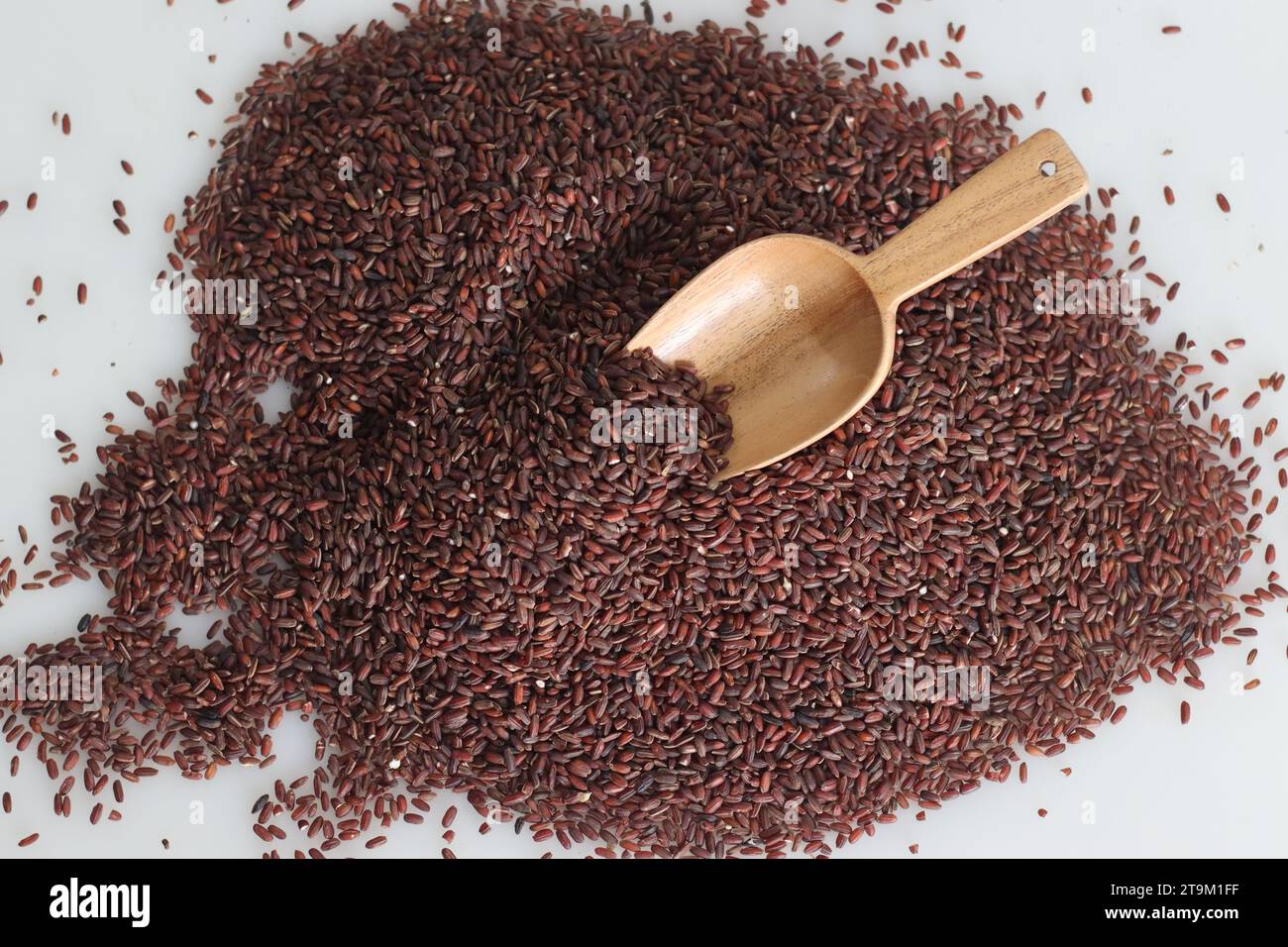 Chicchi di riso Poongar. E' una tradizionale varietà di riso rosso non lucidato originaria del Tamil Nadu. È di colore rosso e assomiglia a Mappilai Samba ri Foto Stock