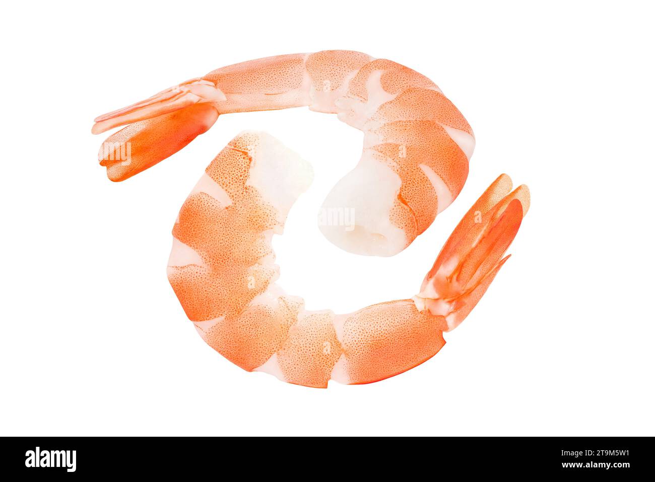 Gamberi sbucciati, gamberi cotti, due pezzi isolati su sfondo bianco con percorso di ritaglio, elemento di design della confezione. Foto Stock