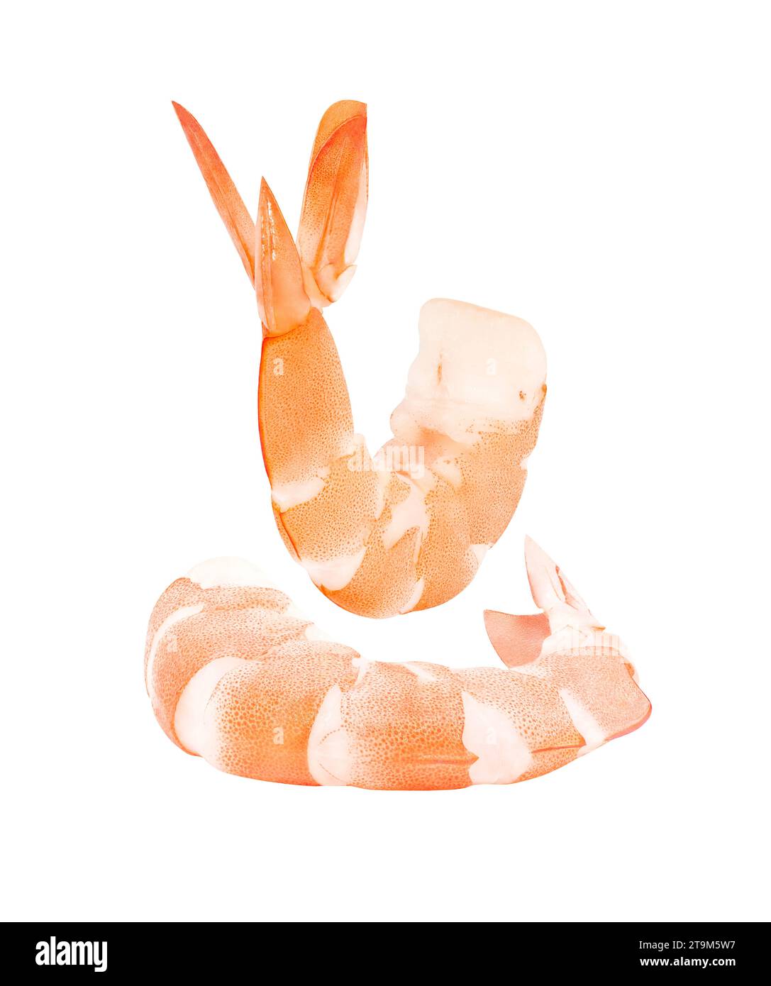 Gamberetti cotti, gamberi sbucciati, due pezzi isolati su sfondo bianco con percorso di ritaglio, elemento del design della confezione. Foto Stock