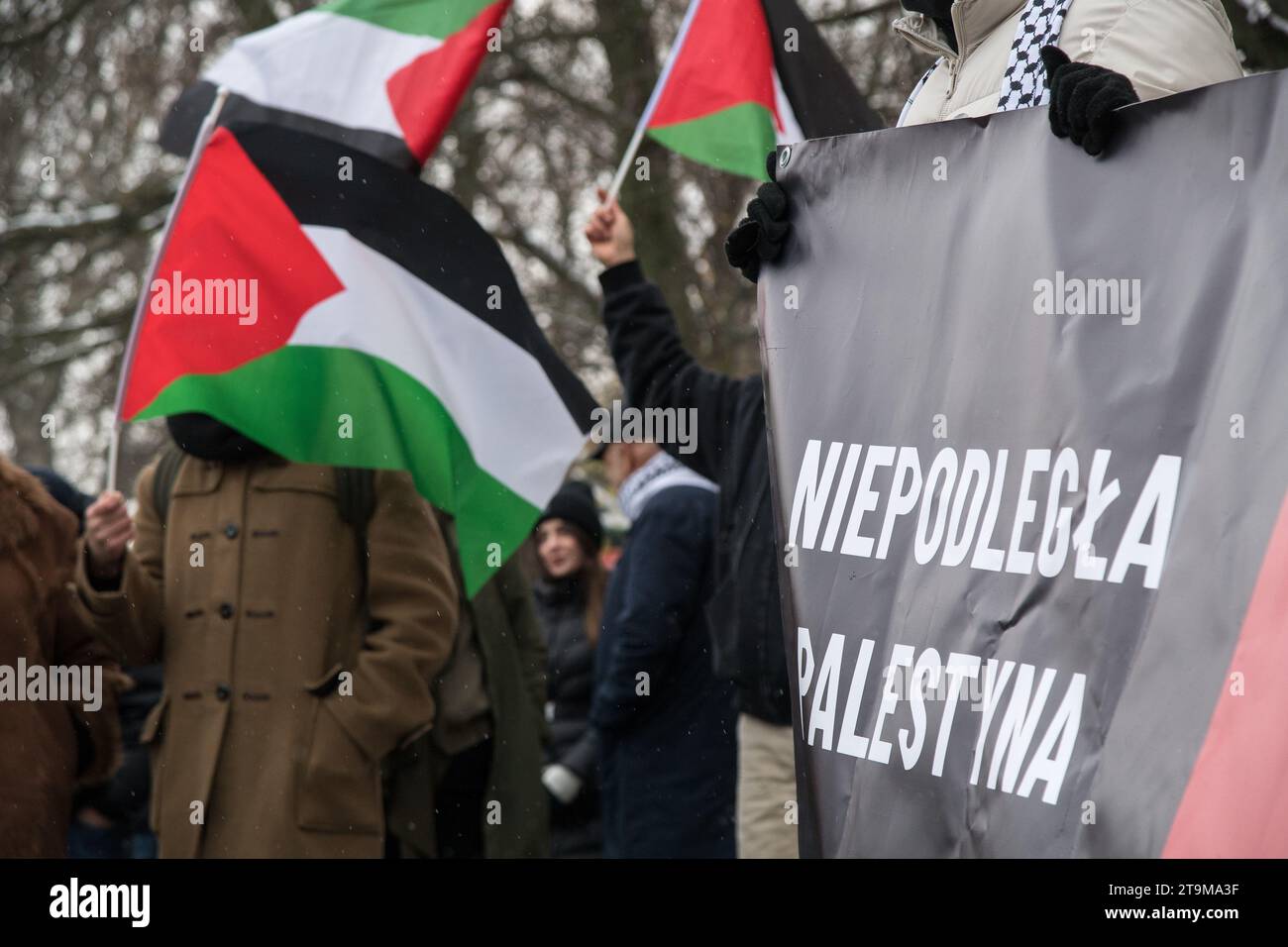 Gdank, Polonia. 26 novembre 2023. Protesta pro-palestinese © Wojciech Strozyk / Alamy Live News Foto Stock