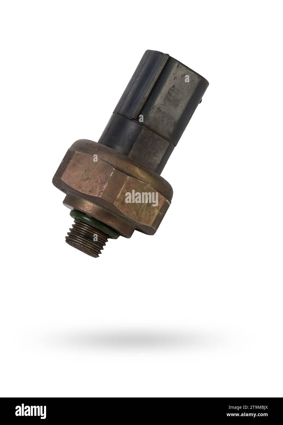 Sensore della pressione dell'olio dell'auto isolato su sfondo bianco. Nuovi pezzi di ricambio. Foto Stock