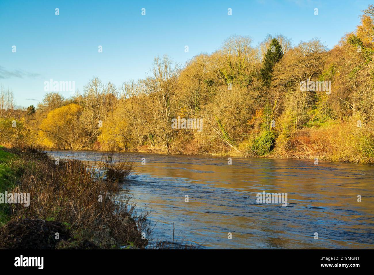Il fiume che scorre velocemente di Jackfield Rapids sul fiume Severn a Jackfield, Shropshire, Regno Unito Foto Stock