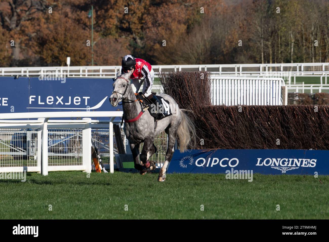 Ascot, Berkshire, Regno Unito. 25 novembre 2023. Il fan Jack della paglia di cavallo cavalcato dal jockey Sean Houlihan corre nella Nirvana Spa 1965 Steeple Chase all'ippodromo di Ascot durante il November Racing Saturday Meeting. Credito: Maureen McLean/Alamy Live News Foto Stock