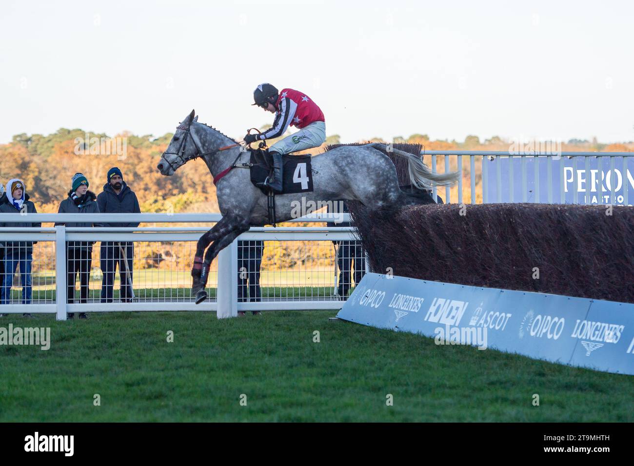 Ascot, Berkshire, Regno Unito. 25 novembre 2023. Horse Straw fan Jack guidato dal fantino Sean Houlihan e allenato da Sheila Lewis, Brecon, corre nel Nirvana Spa 1965 Steeple Chase all'ippodromo di Ascot durante il November Racing Saturday Meeting. Proprietario Graham Wilson. Credito: Maureen McLean/Alamy Live News Foto Stock