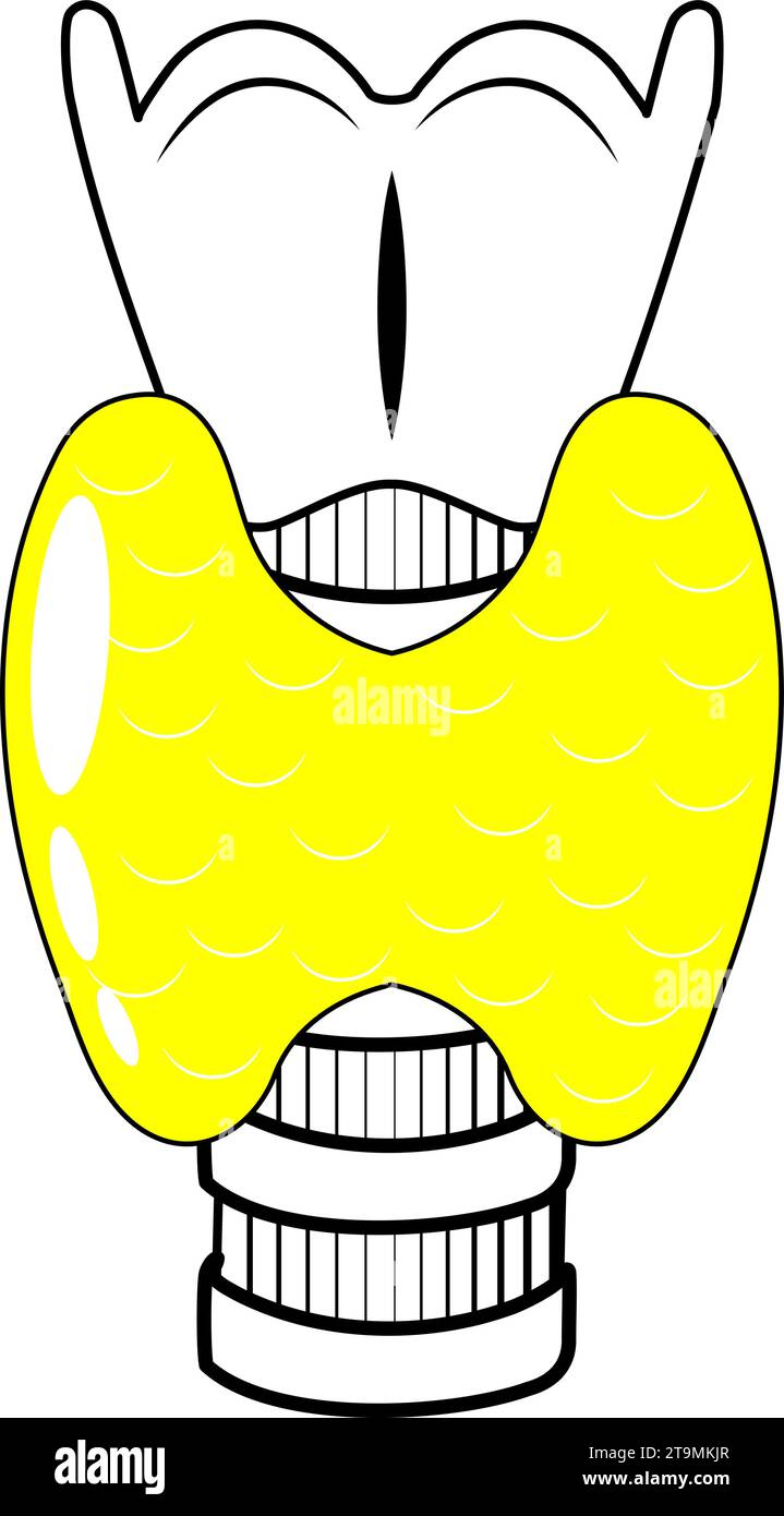 Icona della linea nera della ghiandola tiroidea. Stile semplice. Pittogramma stilizzato per Web design o app mobili. Illustrazione vettoriale. simbolo linea piatta. Anatomia Illustrazione Vettoriale