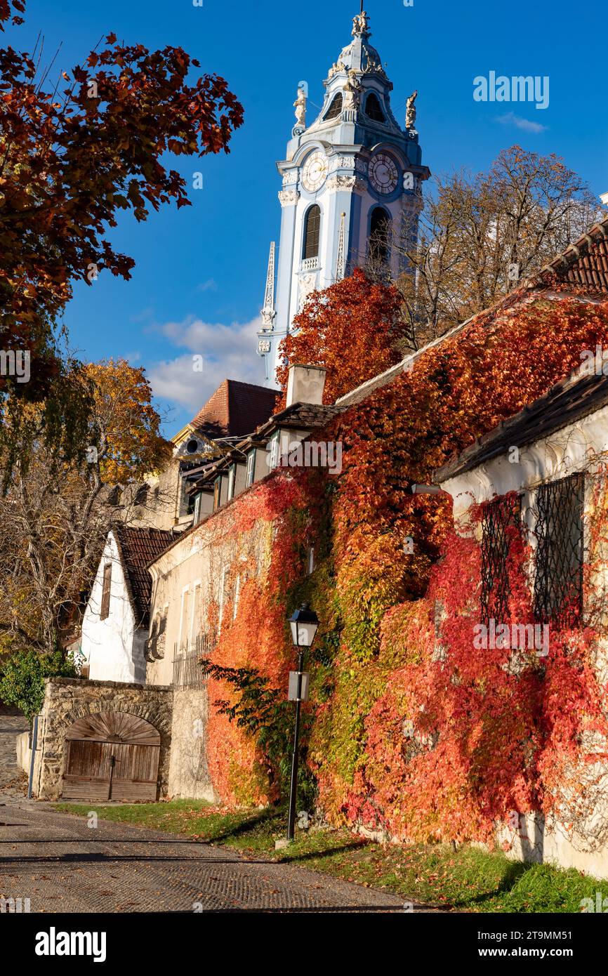 La vite colorata lascia Dürnstein in un giorno d'autunno Foto Stock