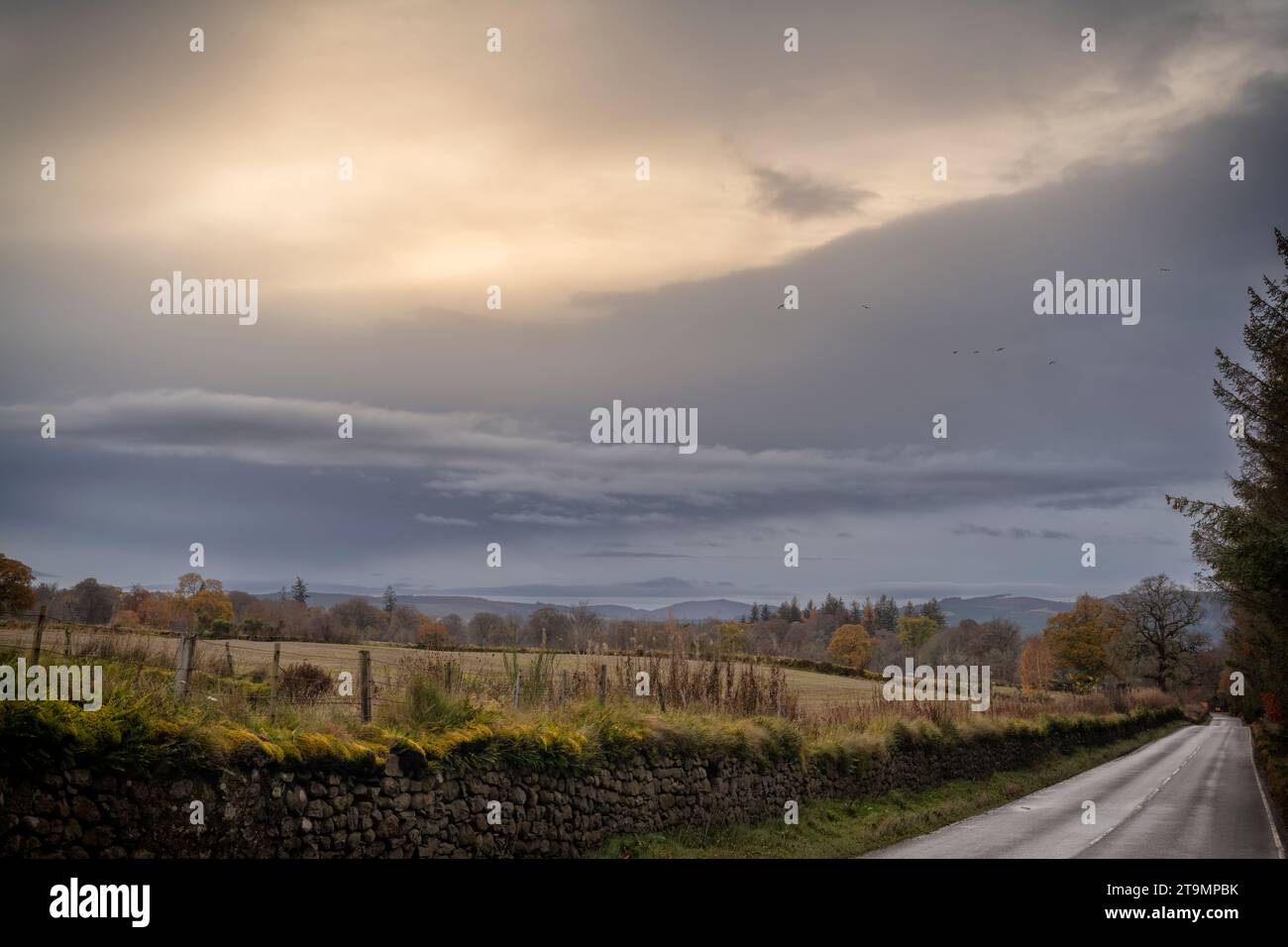 E' stato un vecchio giorno strano oggi, dal punto di vista meteorologico. Un'alba gloriosa (che ero troppo impegnata per girare) è scesa in una giornata un po' buia con una S lattiginosa Foto Stock