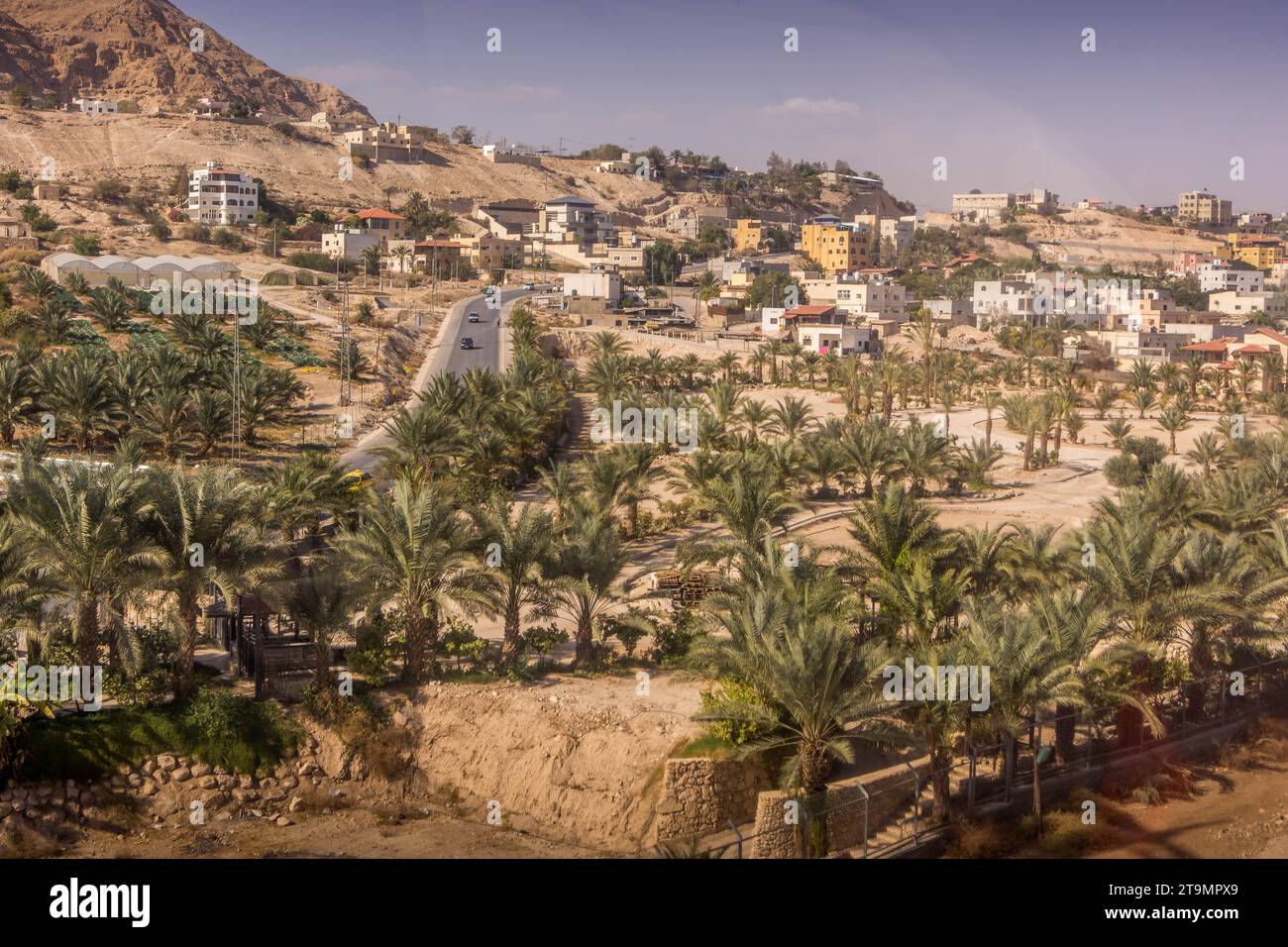 Vista aerea sulla strada, piantagione di palme e case residenziali nella città palestinese di Gerico, Cisgiordania, Palestina, durante la calda estate Foto Stock