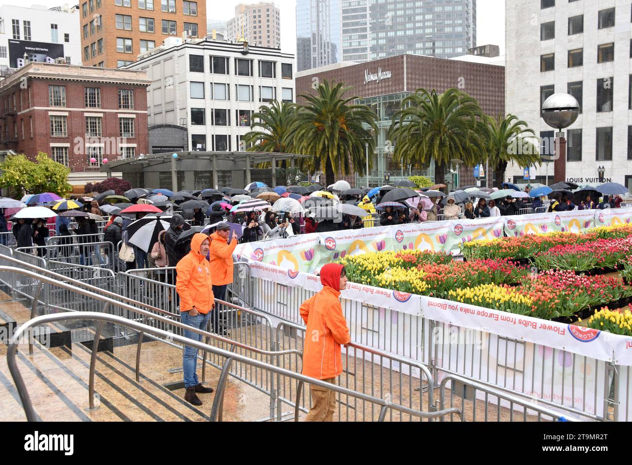 San Francisco, CA - 4 marzo 2023: I partecipanti si schierano sotto la pioggia a Union Square, dove vengono distribuiti 80.000 tulipani per la giornata nazionale delle donne. Foto Stock
