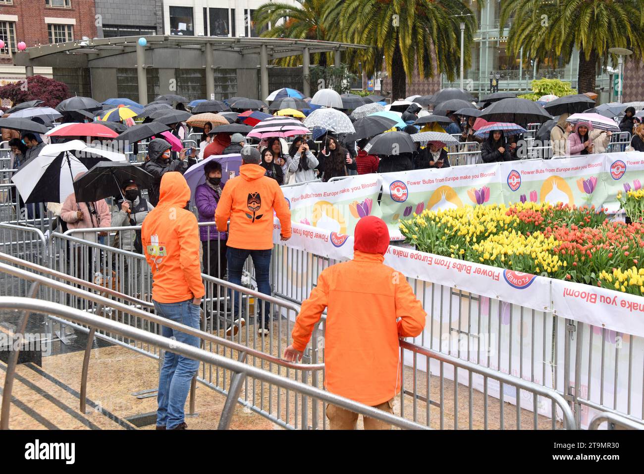 San Francisco, CA - 4 marzo 2023: I partecipanti si schierano sotto la pioggia a Union Square, dove vengono distribuiti 80.000 tulipani per la giornata nazionale delle donne. Foto Stock