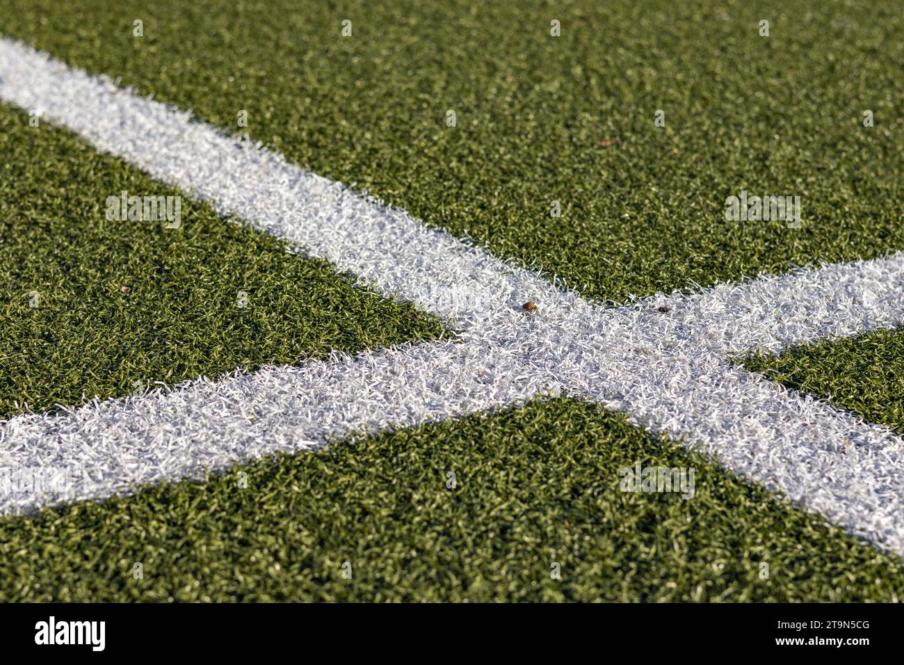 linee bianche su erba sintetica Foto Stock