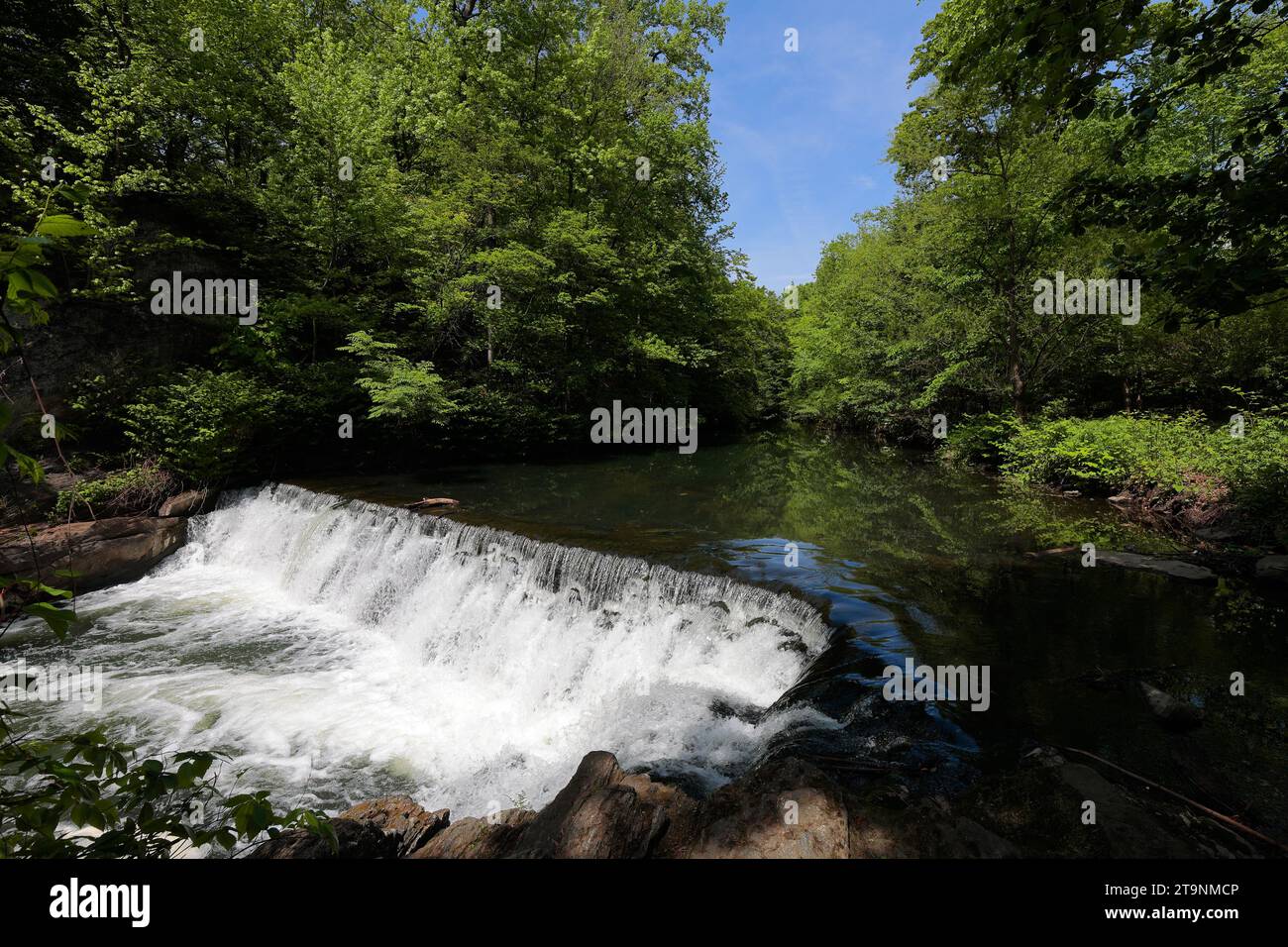 Snuff Mill Waterfall sul fiume Bronx all'interno dei giardini botanici di New York, New York City. I resti della diga una volta alimentavano un tabacchificio del 19° cen Foto Stock