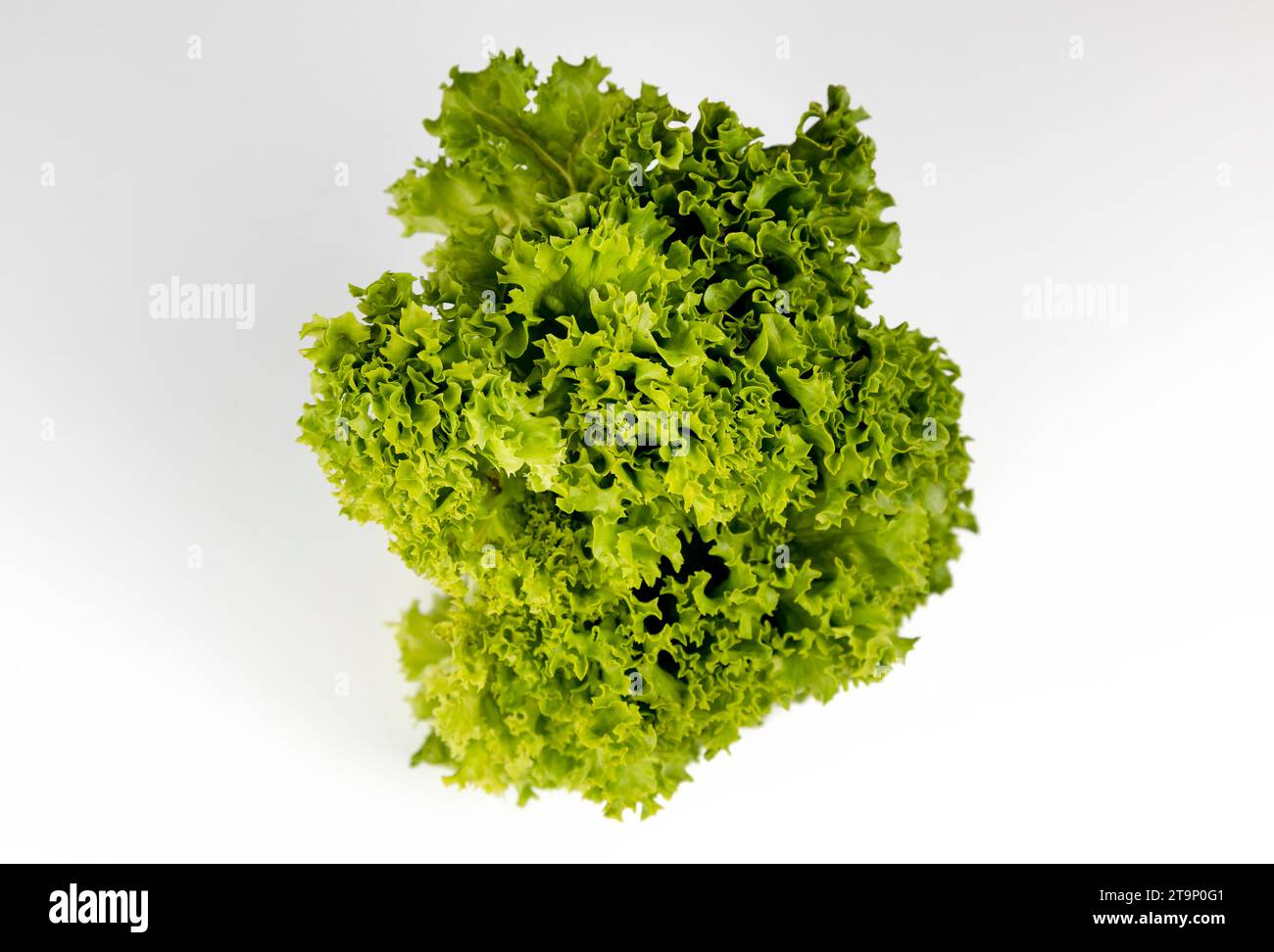 Insalata verde fresca isolata su sfondo bianco, vista dall'alto. Foto Stock
