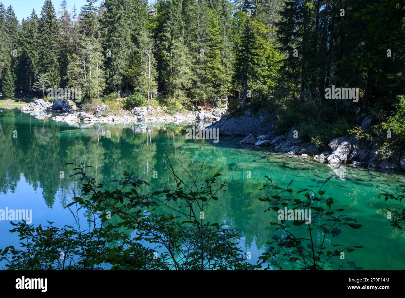 Un lago di Fusini superiore circondato da alberi in mezzo a una foresta Foto Stock