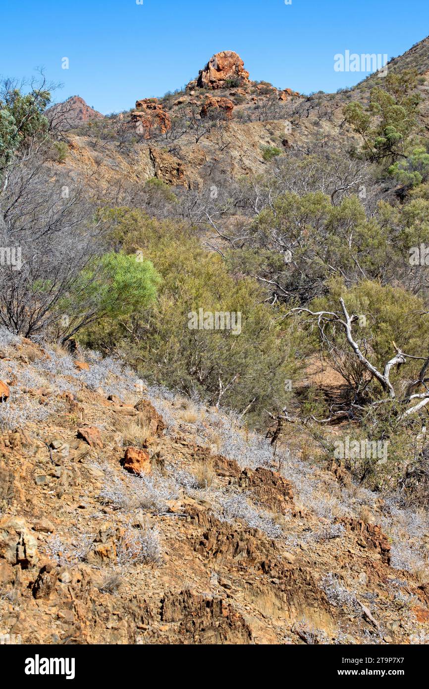 Mawson Valley e l'affioramento di Toro seduto Foto Stock