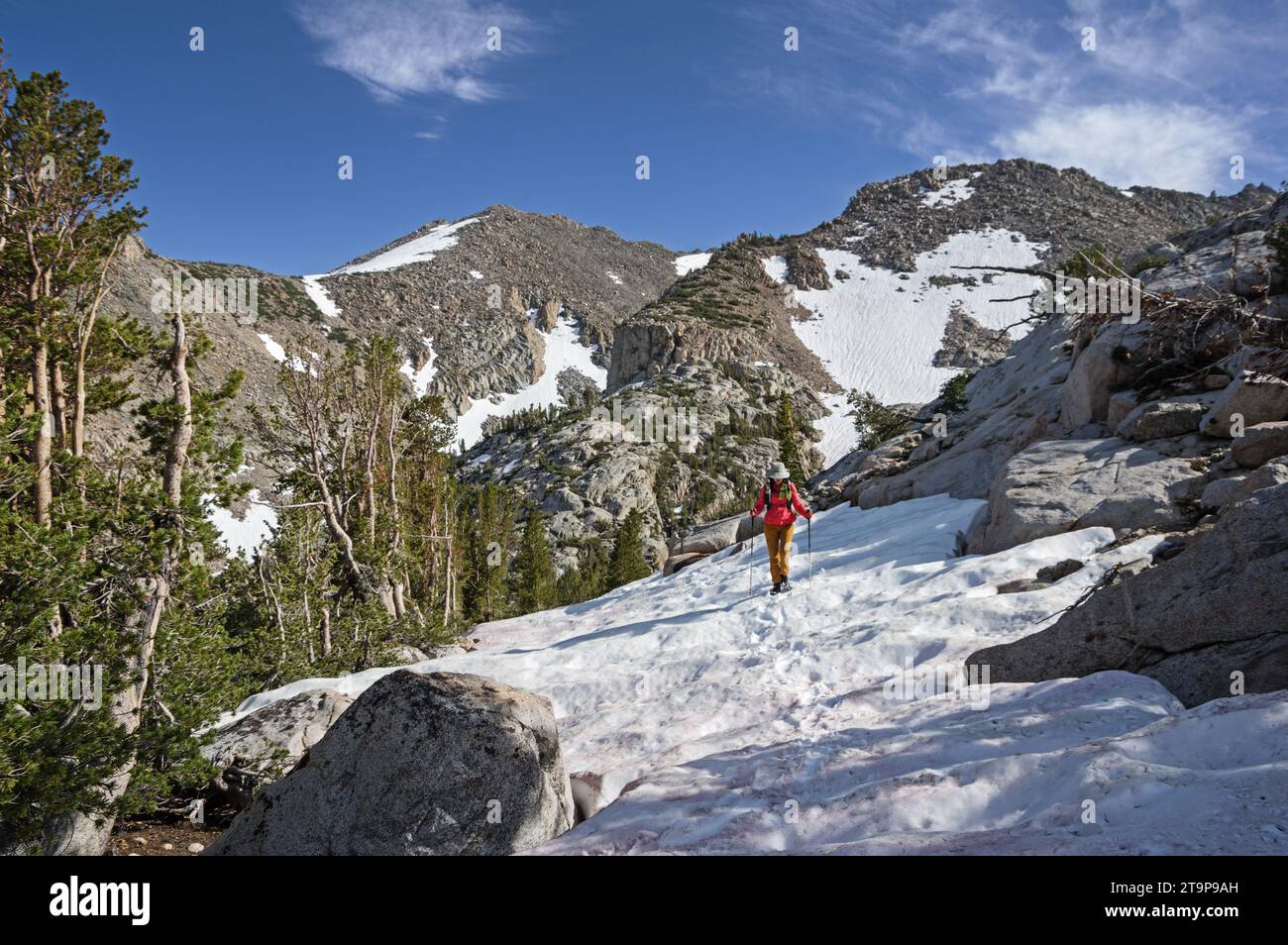 Donna escursionista con cappello da sole che fa trekking sulla neve in estate nelle montagne orientali della Sierra Nevada in California, scendendo lungo il sentiero Lamarck col Foto Stock