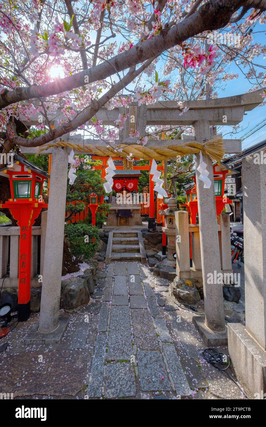 Kyoto, Giappone - 2 aprile 2023: Santuario Tatsumi Daimyojin situato vicino al ponte bashi Tatsumu nel distretto di Gion Foto Stock