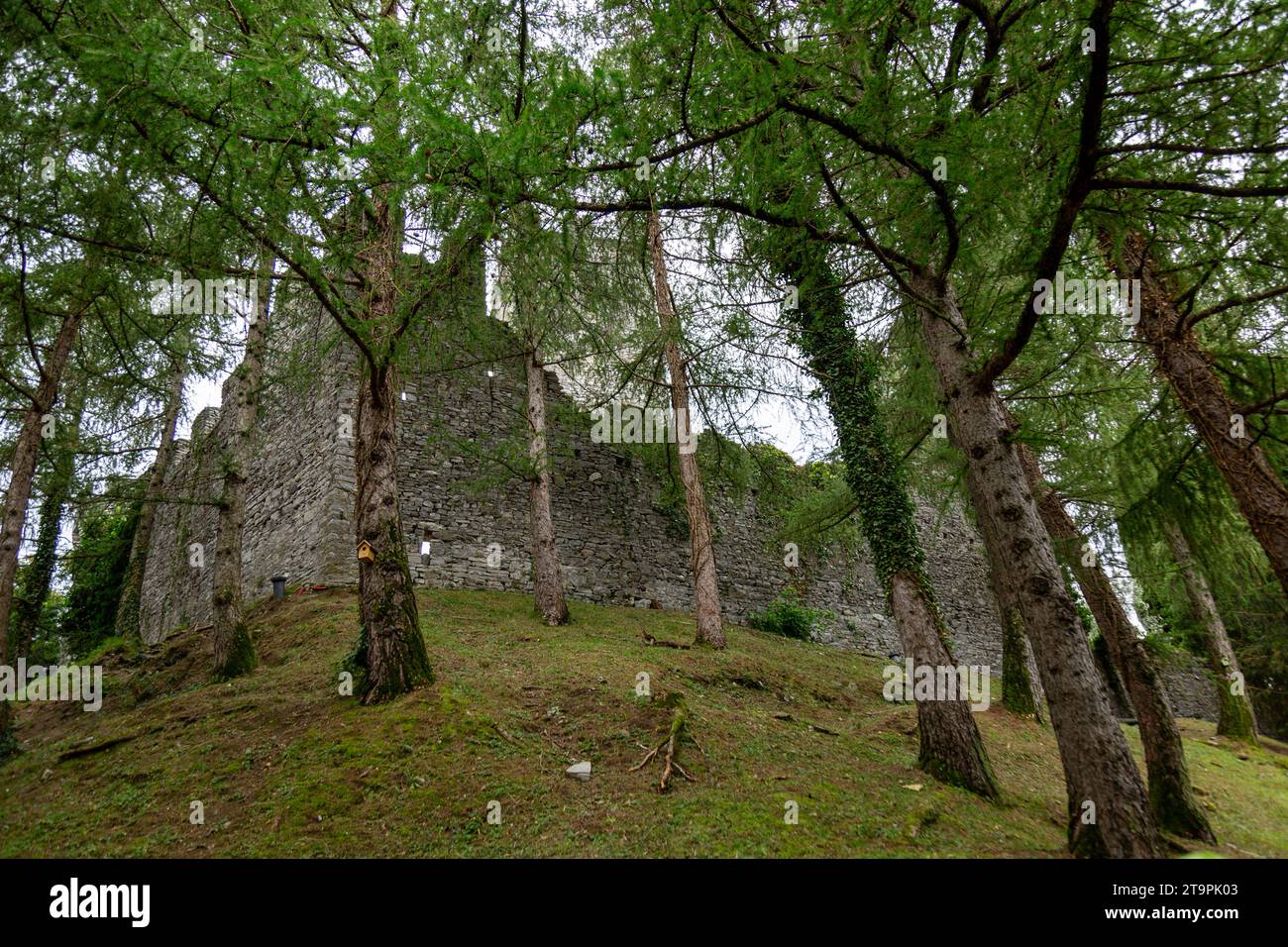 Le rovine del castello medievale di Vezio sorgono su una montagna a Perledo, Lombardia, Italia. Foto Stock