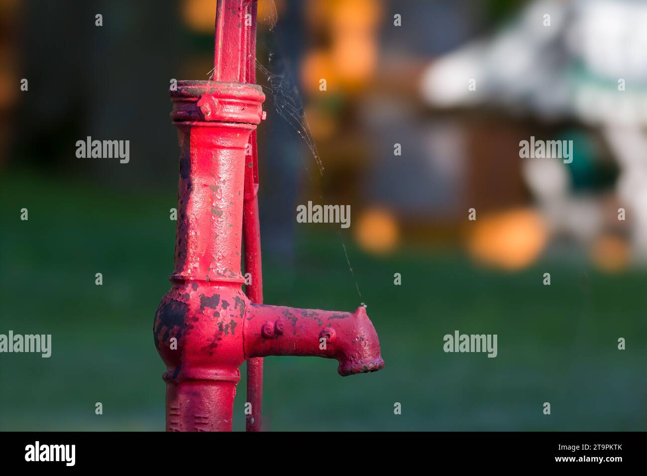 Primo piano: Pompa d'acqua rossa vintage, ragnatele, sfondo sfocato nella Chippewa National Forest, Minnesota settentrionale USA Foto Stock