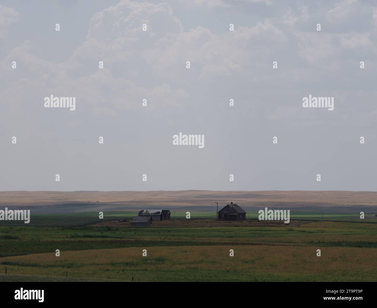 Abandoned Homestead - Orcadi, Saskatchewan, Canada Foto Stock