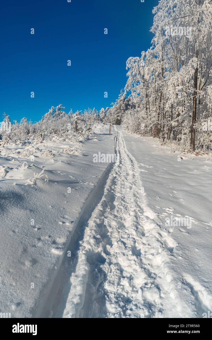 Paesaggi montani invernali con sentieri escursionistici innevati, alberi ghiacciati e cielo limpido - montagne Kysucke Beskydy tra le colline di Kykula e Velka Raca Foto Stock