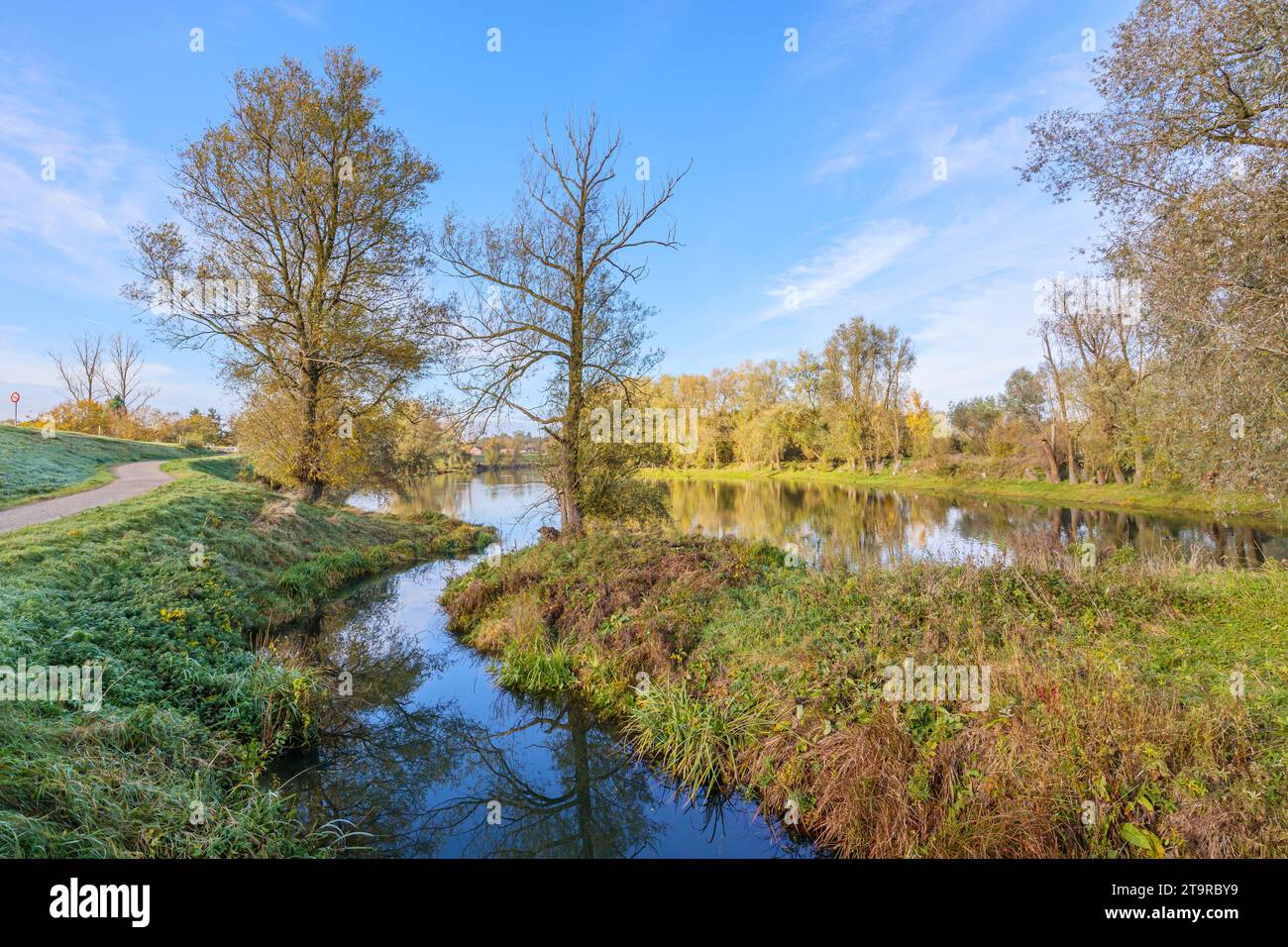 Ruscello che scorre nel fiume, alberi autunnali sullo sfondo del cielo blu, riflesso specchio sulla superficie dell'acqua, riserva naturale belga De Wissen Maasvalle Foto Stock