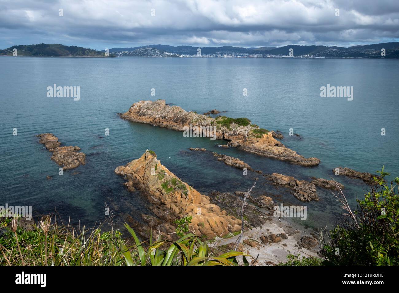 Costa rocciosa, Isola di Matiu/Soames, Porto di Wellington, Isola del Nord, nuova Zelanda. Wellington City in lontananza. Foto Stock