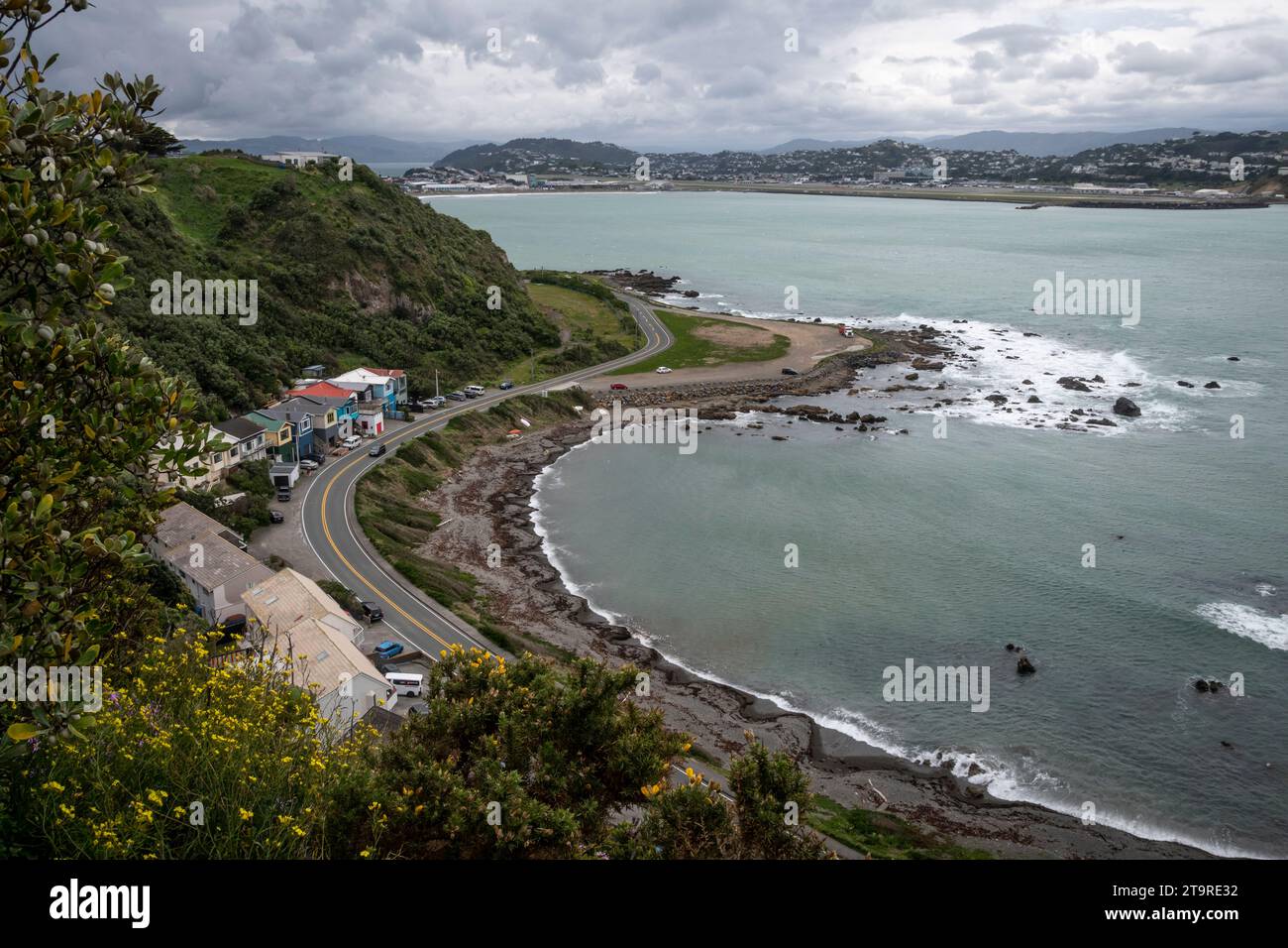 Case e strada accanto alla spiaggia, Breaker Bay, Wellington, North Island, nuova Zelanda Foto Stock
