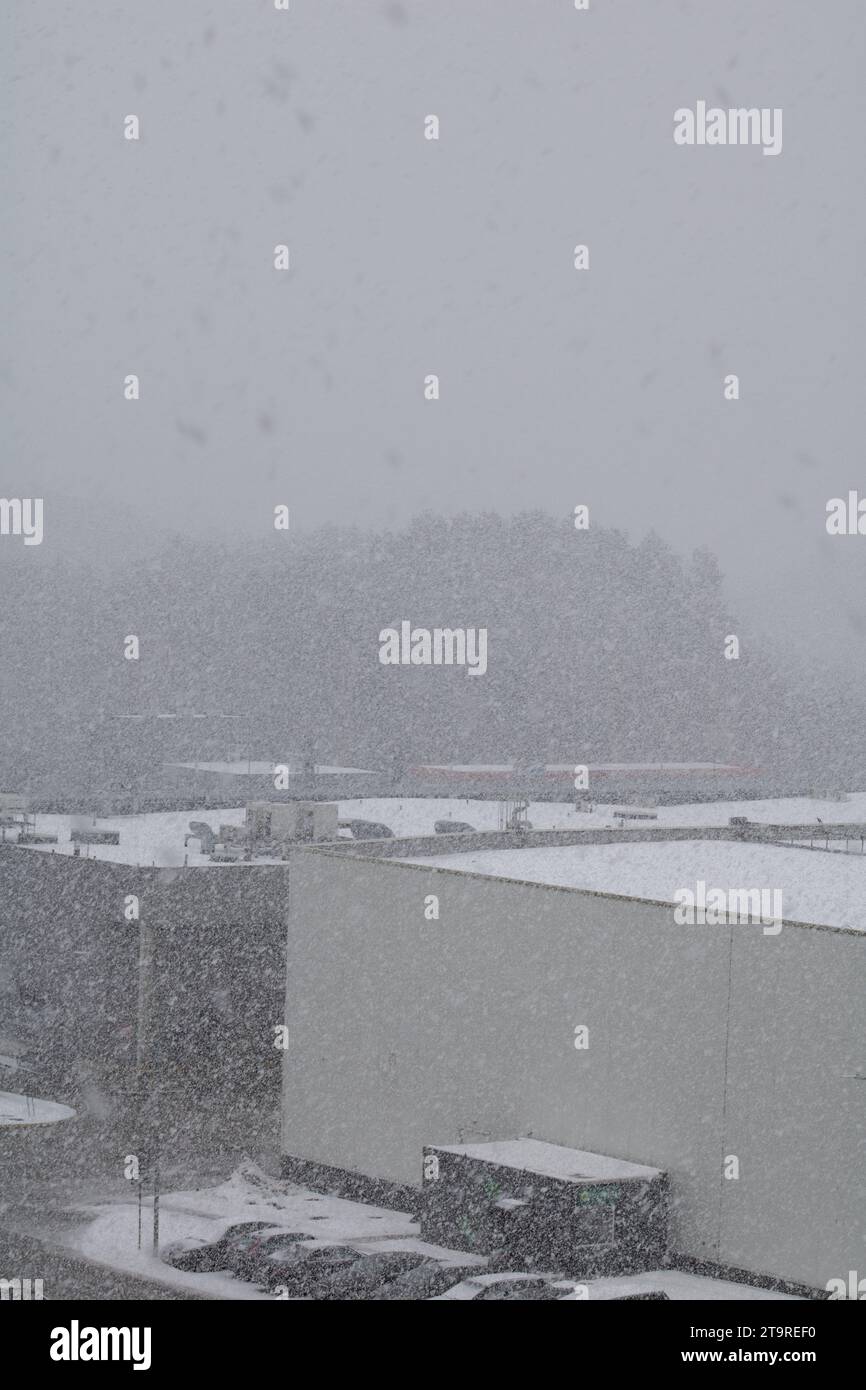 fotografa un inverno la fotografia di questa città cattura la bellezza di una nevicata. Il tempo innevato trasforma il paesaggio urbano, il clima, il fiocco di neve, la verticale Foto Stock
