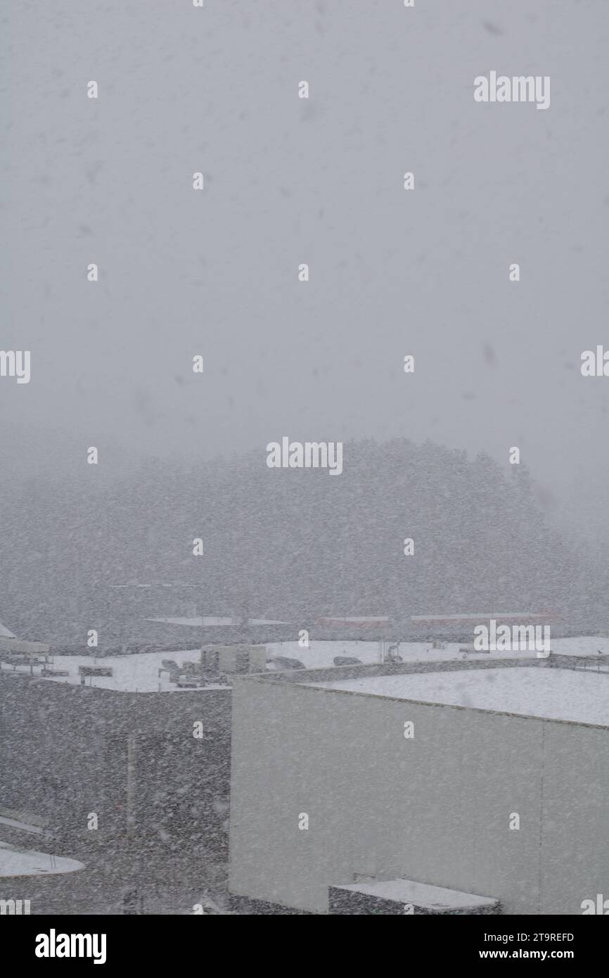 foto in questa fotografia invernale, una scena serena si dispiega mentre la neve cade dolcemente. Il tempo innevato, catturato in un ambiente all'aperto, crea una tranquilla s Foto Stock