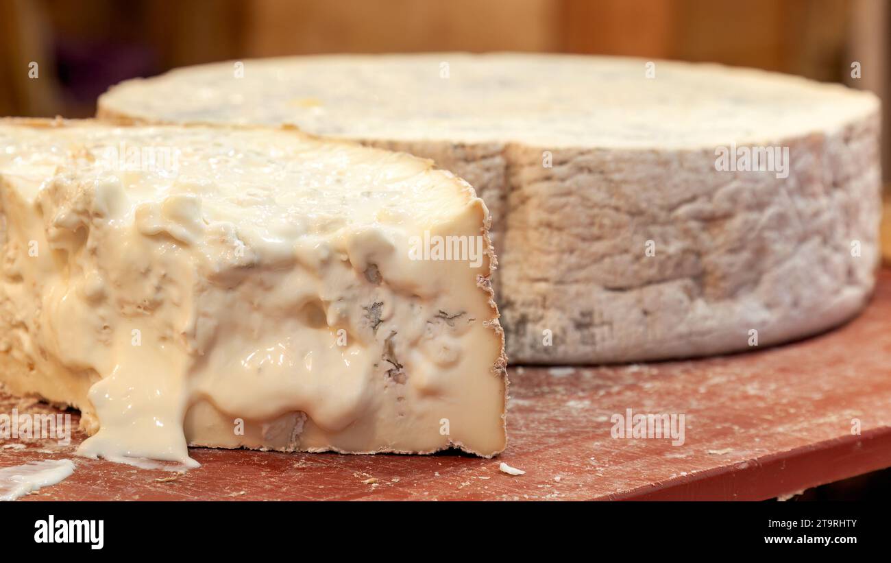 Robiola, formaggio pastorizzato a “triplo latte” prodotto con latte di capra, di mucca e di pecora, prodotto nella regione Piemonte d’Italia, in Europa. Foto Stock