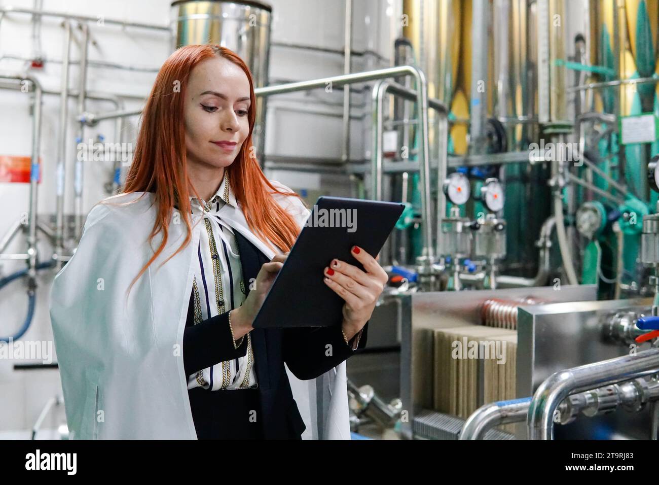Ritratto di una ingegnere specialista che utilizza tablet computer in fabbrica. Foto Stock