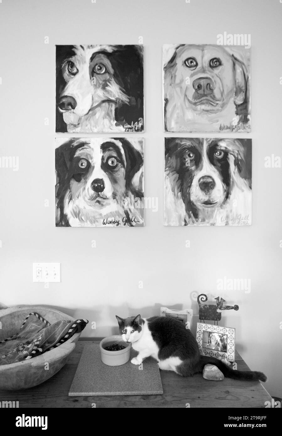 Un gatto che mangia davanti a quattro dipinti di cani. Foto Stock