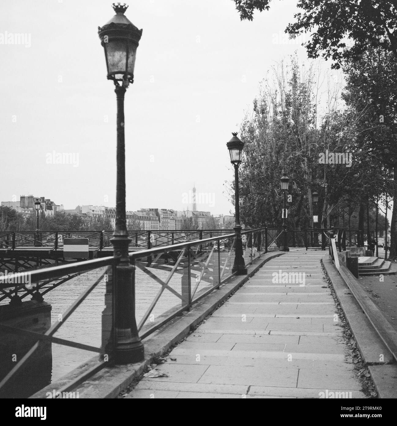 Immagine in bianco e nero dei lampioni di Parigi e della Torre eiffel Foto Stock