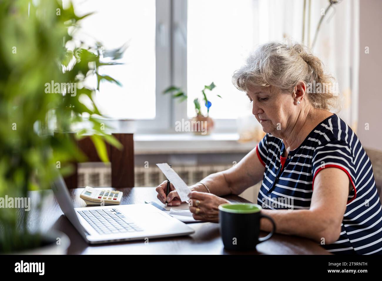 Donna anziana che controlla le sue finanze a casa Foto Stock