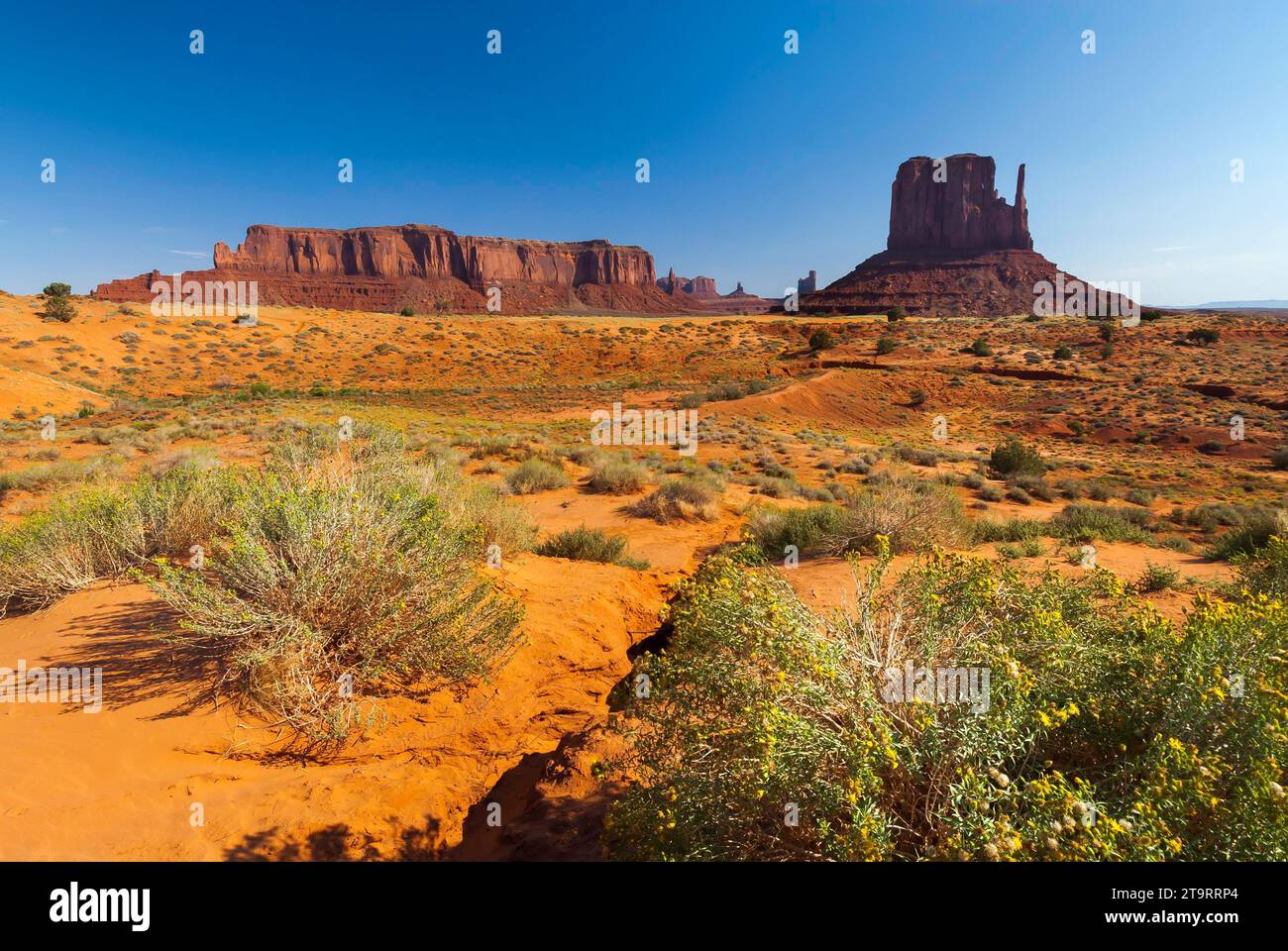 Monument Valley, West, Western, nello Utah, USA Foto Stock