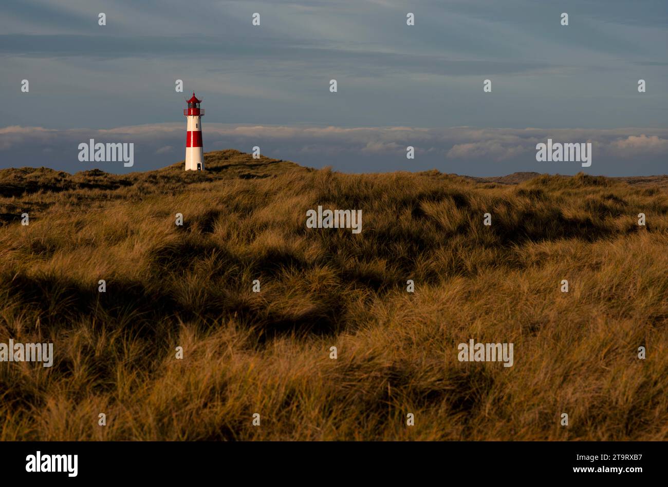 Lighthouse List-Ost, strisce rosse e bianche, dune, gomito, alba, luce mattutina, List, Isola del Mare del Nord Sylt, Frisia settentrionale, Schleswig-Holstein, Germania, Foto Stock