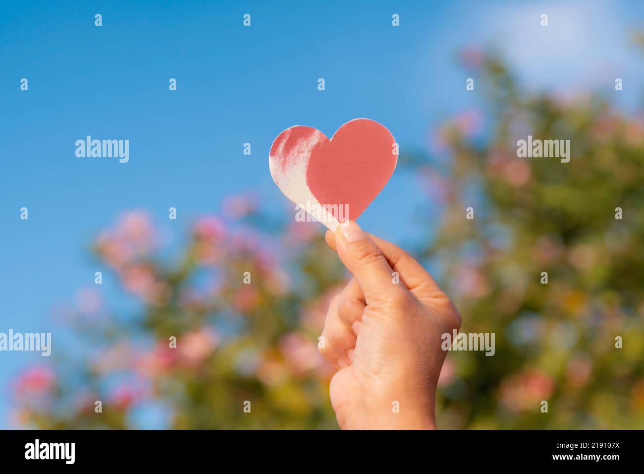 La mano di una donna regge un pezzo di carta a forma di cuore. Su nel cielo a San Valentino Foto Stock