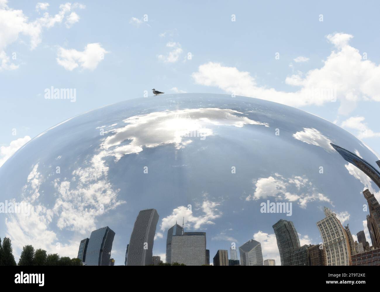 Chicago, USA - 5 giugno 2018: Reflection in the Cloud Gate, conosciuto anche come The Bean in Millennium Park a Chicago, Illinois. Foto Stock