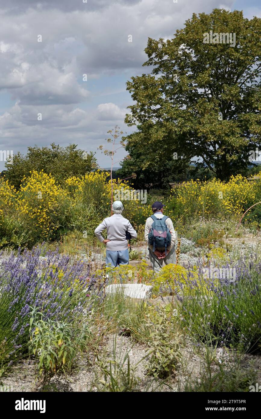 coppia più anziana in piedi nel giardino asciutto formale kent inghilterra Foto Stock