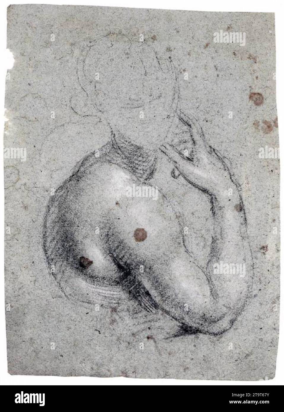 Studio di una figura a mezza lunghezza c. 1580 di Simone Peterzano Foto Stock