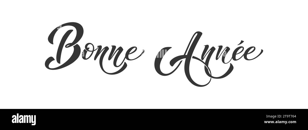 Joyeux noel e Bonee Annee. Buon modello di biglietto di Natale con saluti in francese. Lettere disegnate a mano. Illustrazione vettoriale Premium con tipografia Illustrazione Vettoriale