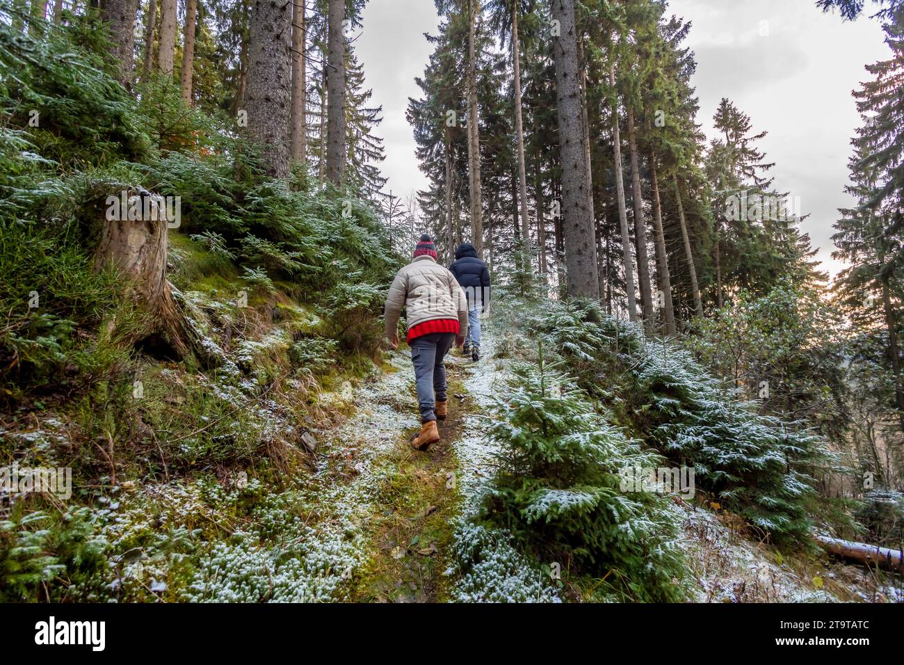 donna con cappello bobble in piedi all'obiettivo nella foresta autunnale Foto Stock