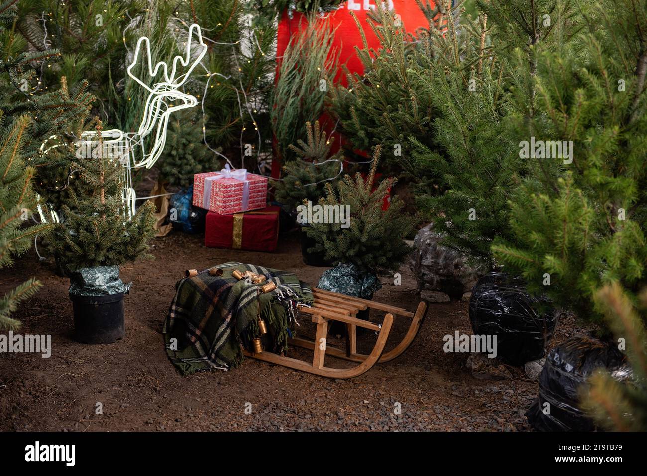 Tra il mercato dell'albero di Natale nel cortile ci sono grandi slitte di legno. Decorazioni in prato per il nuovo anno con regali, ghirlande, cervi guidati, jin Foto Stock