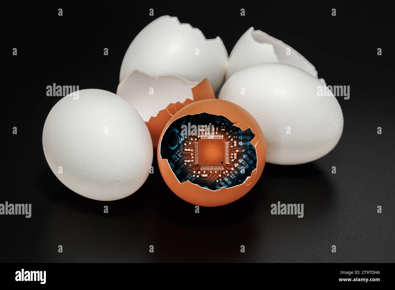 Una scheda a circuito stampato con un microprocessore all'interno di un guscio di uovo di gallina. Il concetto di ricerca e la nascita di nuove tecnologie. Foto Stock
