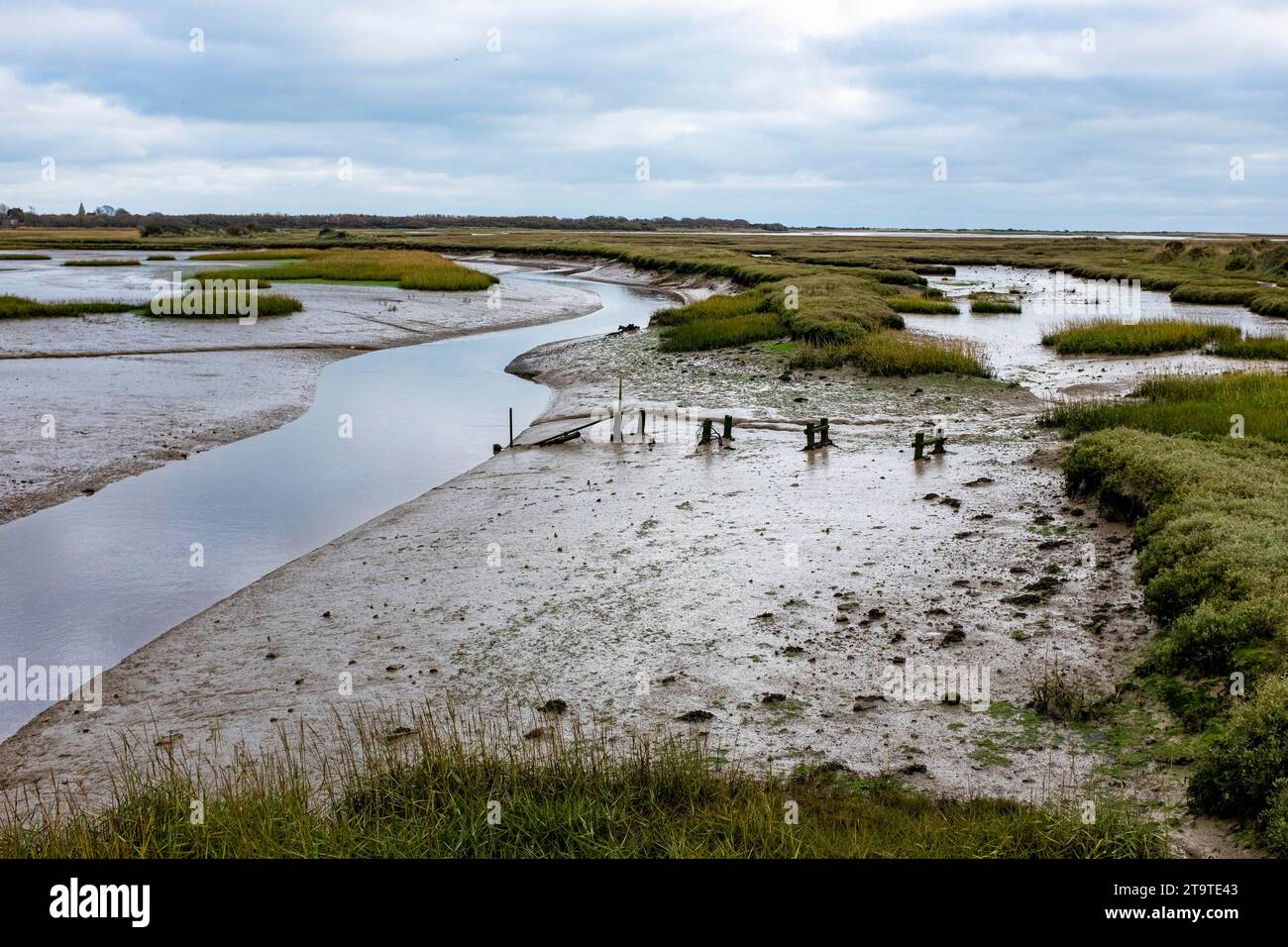 Pagham Harbour RSPB riserva naturale con bassa marea in autunno pomeriggio, West Sussex, Inghilterra Regno Unito Foto Stock Pagham Harbour RSPB riserva naturale con bassa marea in autunno pomeriggio, West Sussex, Inghilterra Regno Unito Foto Stock