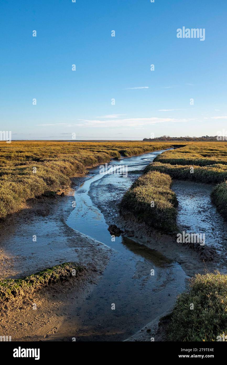 Pagham Harbour RSPB riserva naturale con bassa marea in autunno pomeriggio, West Sussex, Inghilterra Regno Unito Foto Stock Pagham Harbour RSPB riserva naturale con bassa marea in autunno pomeriggio, West Sussex, Inghilterra Regno Unito Foto Stock