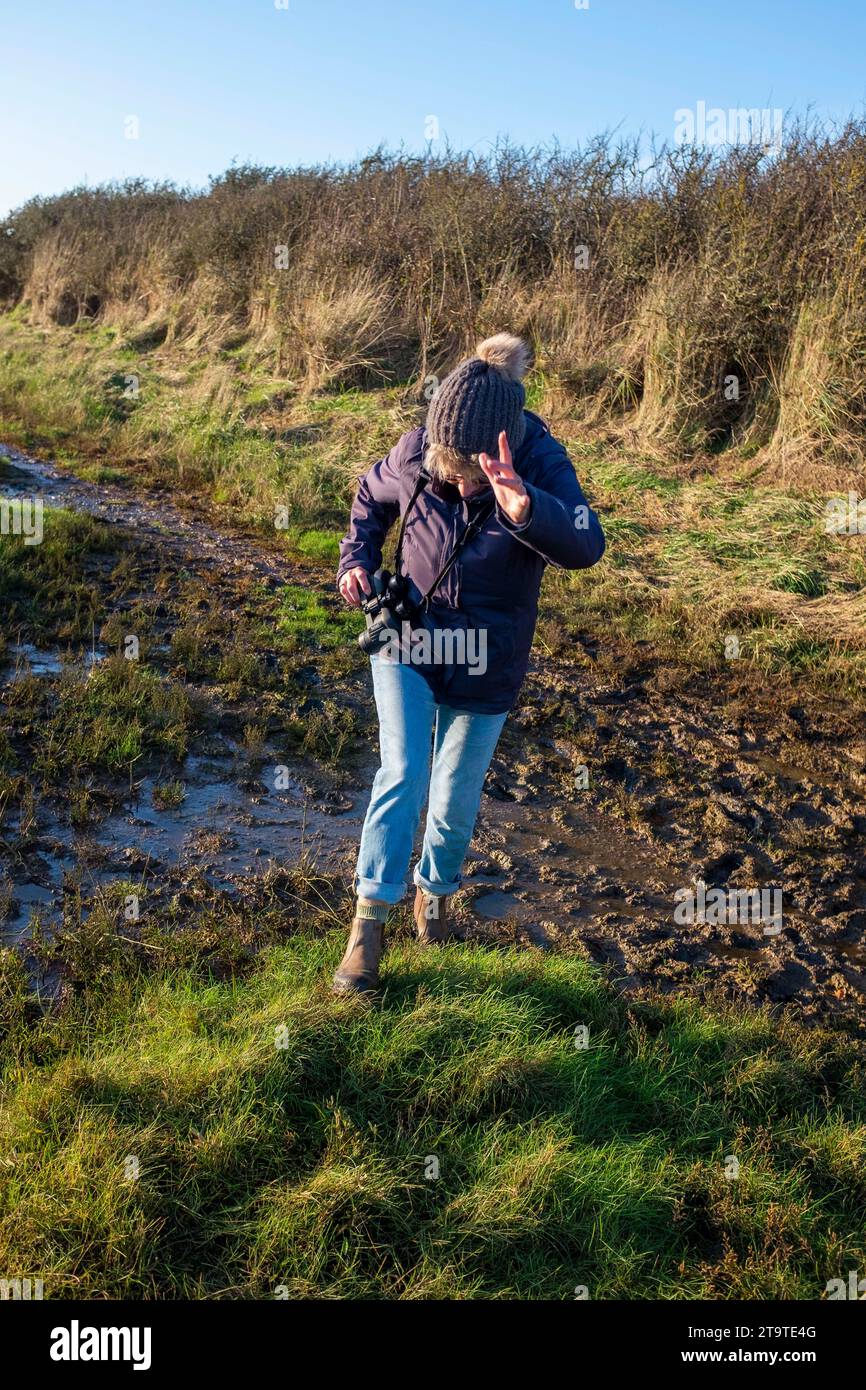 Camminate in una camminata fangosa attorno alla riserva naturale di Pagham Harbour RSPB con la bassa marea in un pomeriggio d'autunno, West Sussex, Inghilterra UK Foto Stock Camminate in una camminata fangosa attorno alla riserva naturale di Pagham Harbour RSPB con la bassa marea in un pomeriggio d'autunno, West Sussex, Inghilterra UK Foto Stock
