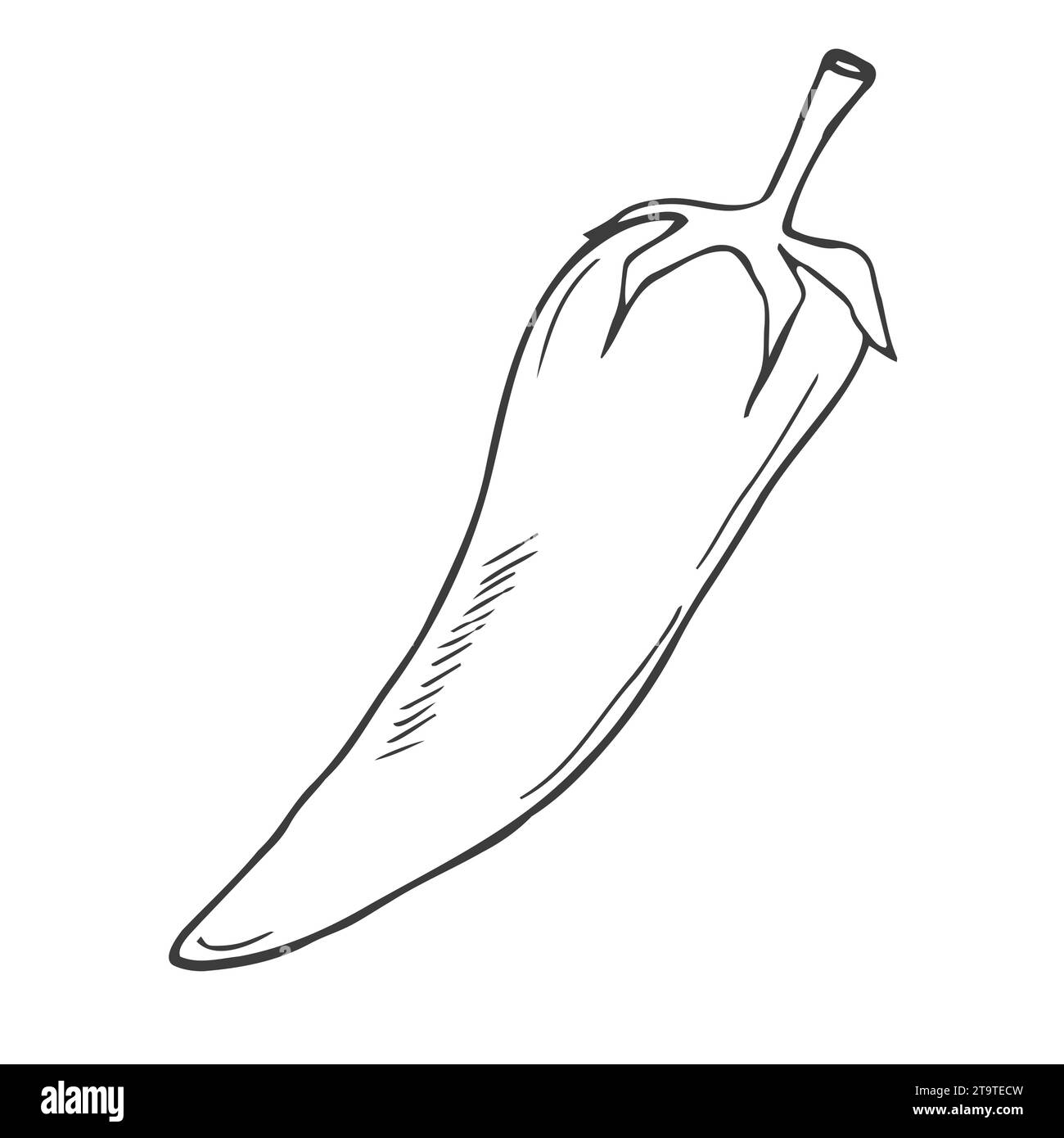 illustrazione vettoriale con peperoncino cileno. logo, icona, design, firma simbolo del prodotto Illustrazione Vettoriale